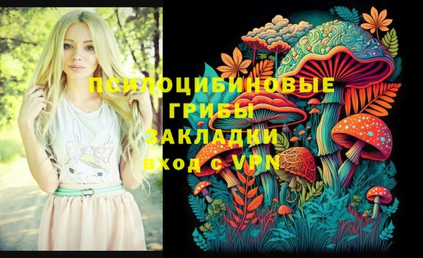 spice Абинск