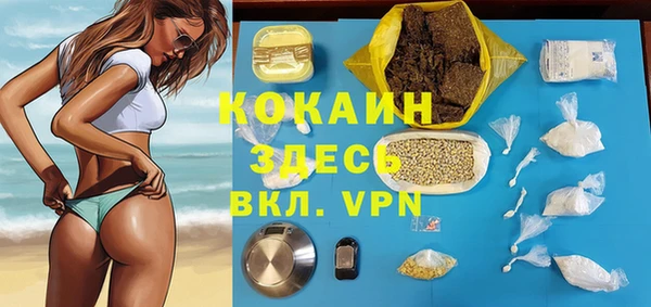 хмурый Алексин