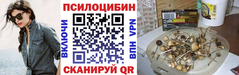 даркнет сайт Богородск ОМГ ОМГ ССЫЛКА площадка Telegram Псилоцибиновые грибы Psilocybine cubensis